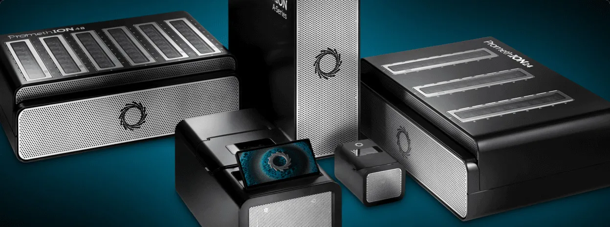 ONT filters_format(webp) (3)